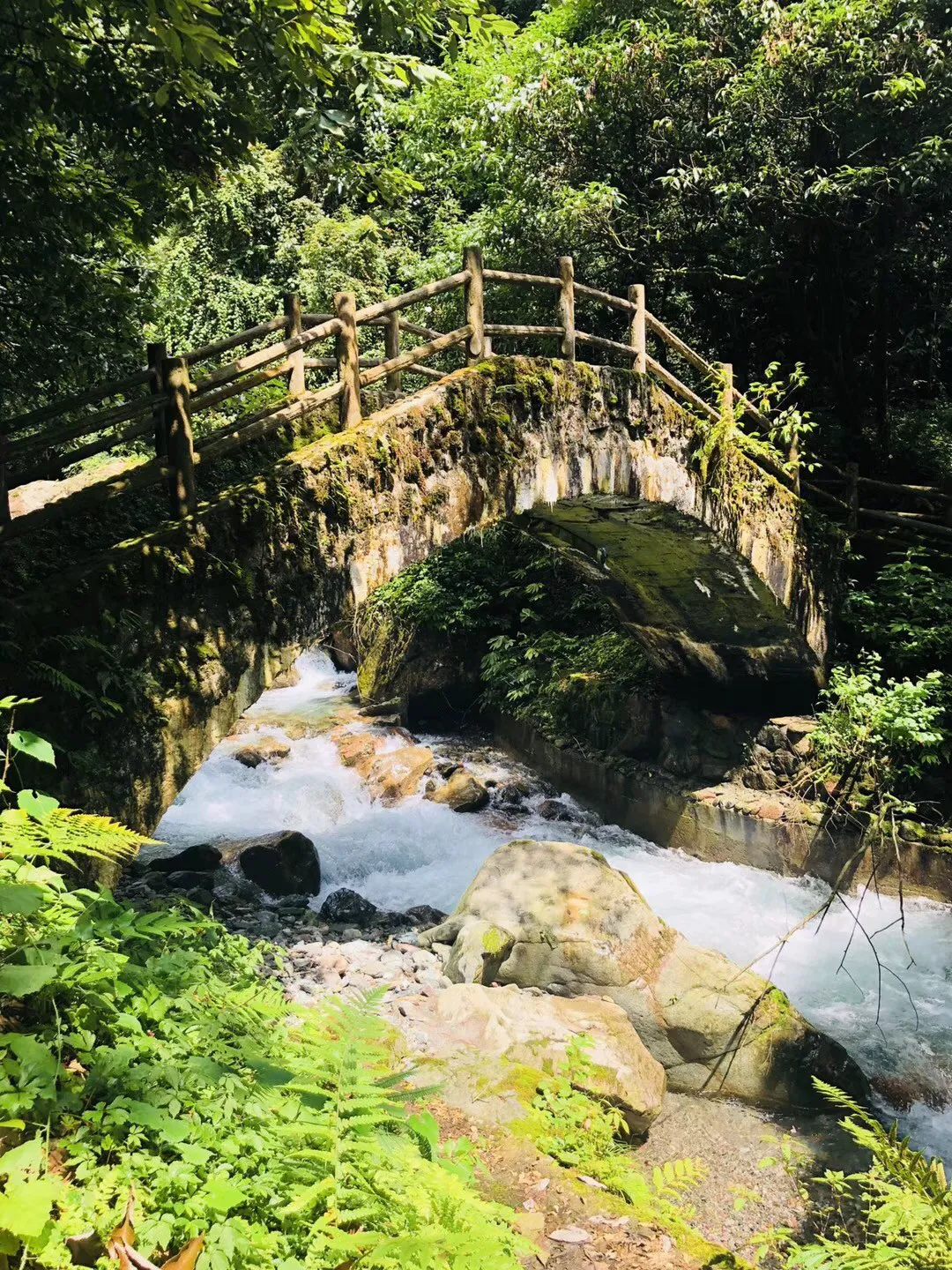 救援小白狼
